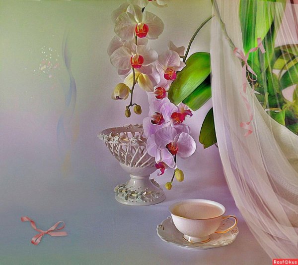 луиза гельтс фотонатюрморты