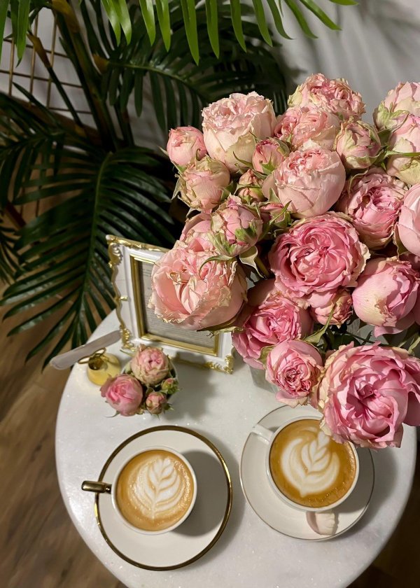 утро завтрак