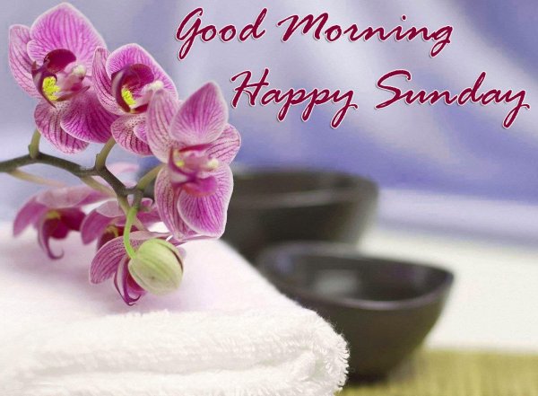 good morning have a nice day