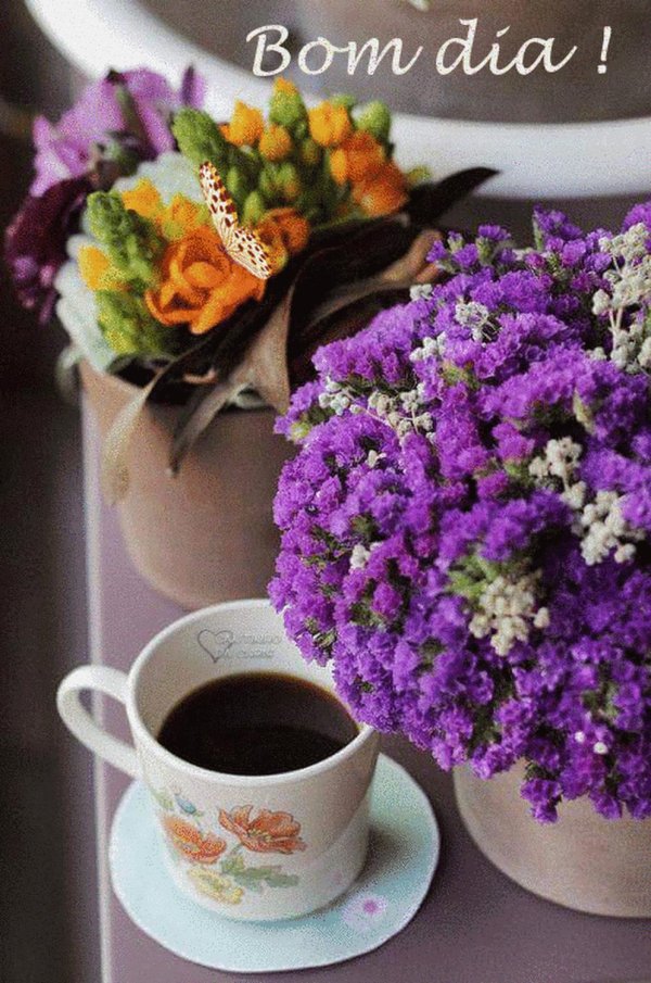 доброе утро сирень