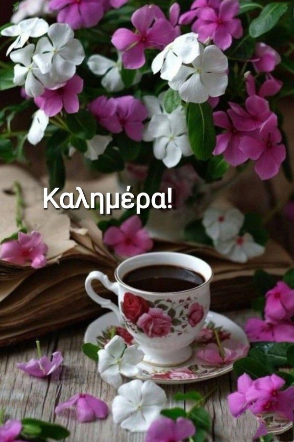 красивое чаепитие