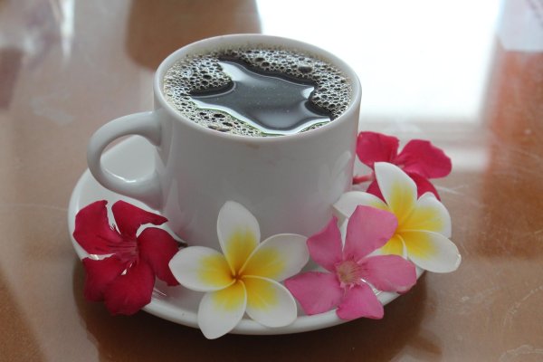 цветы и кофе