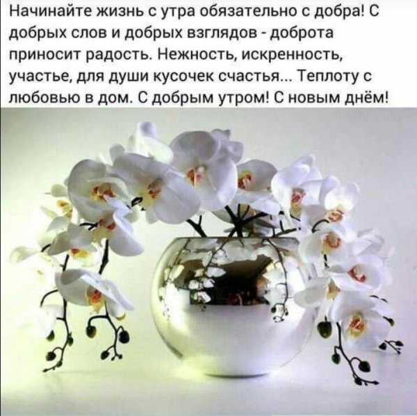с добрым утром и хорошим днём мудрые