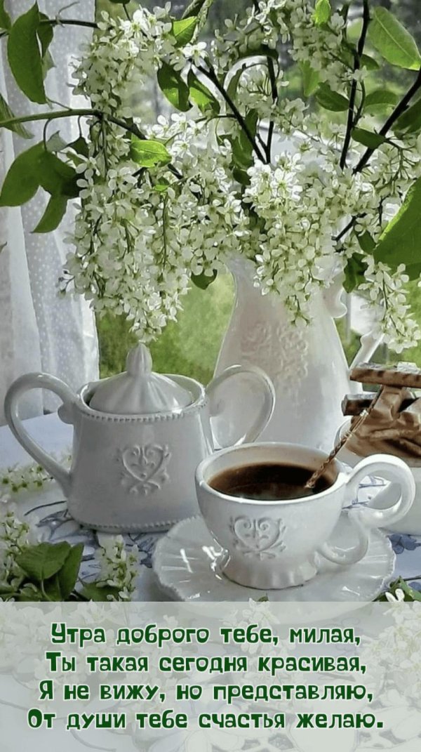 доброго утра весна