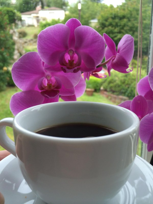 кофе чашечка