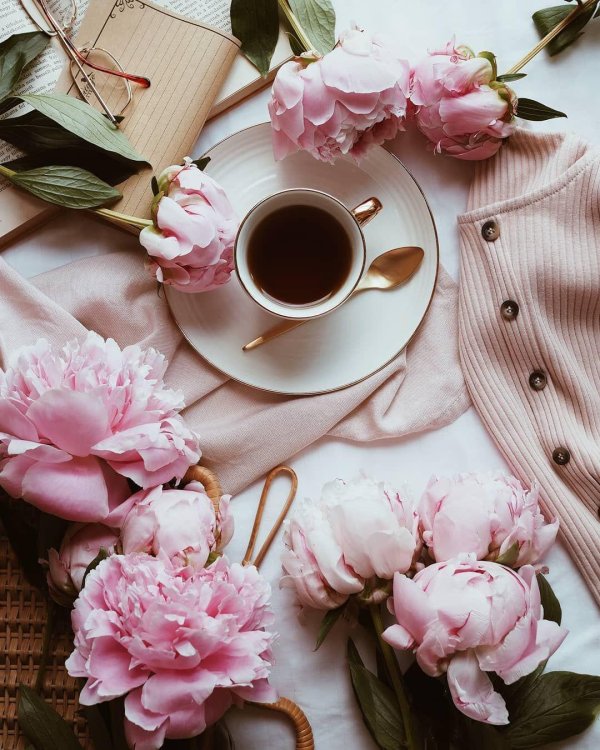 доброго утра стильные