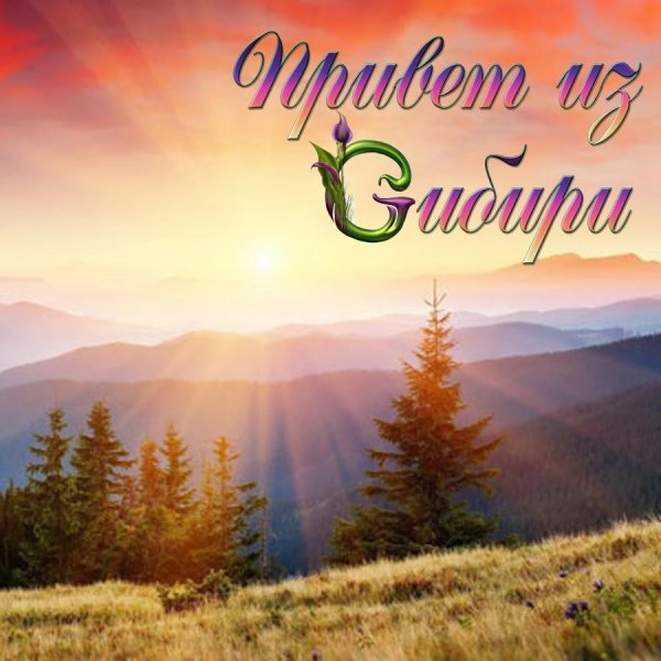 с днем сибири