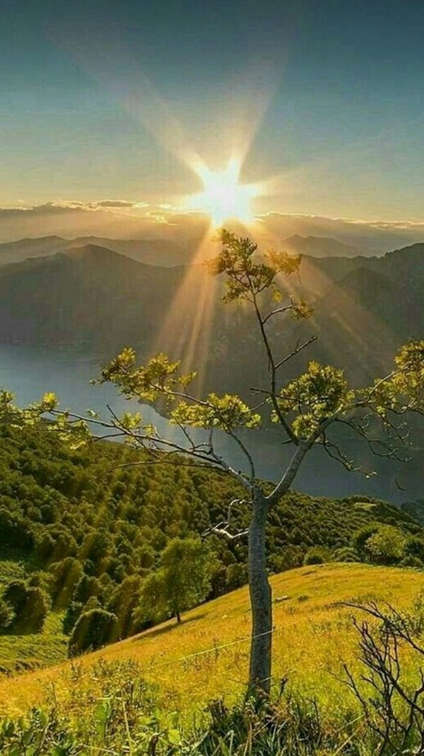 утренний пейзаж