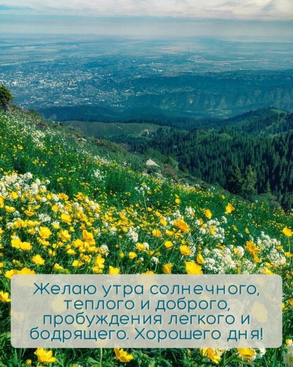 картинки с добрым утром природа