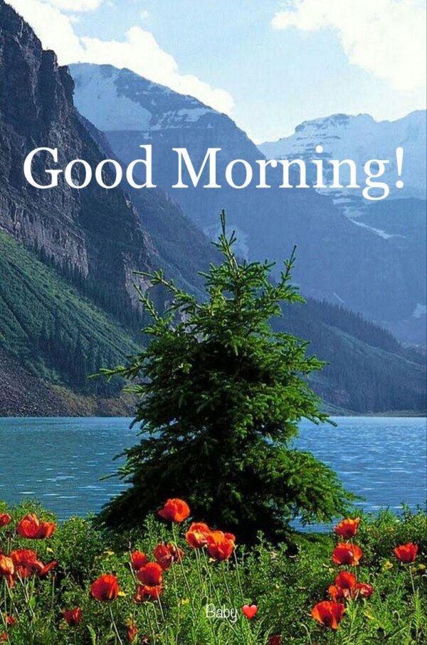 good morning good morning