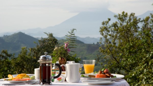 завтрак на природе