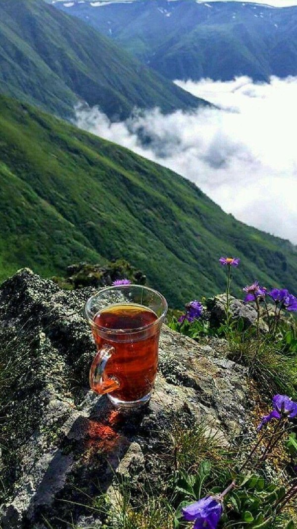 чай на природе