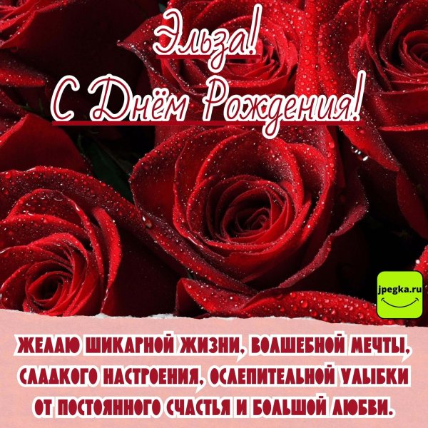 шикарные красные розы