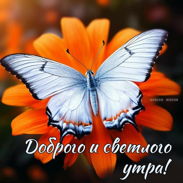 доброго светлого утра