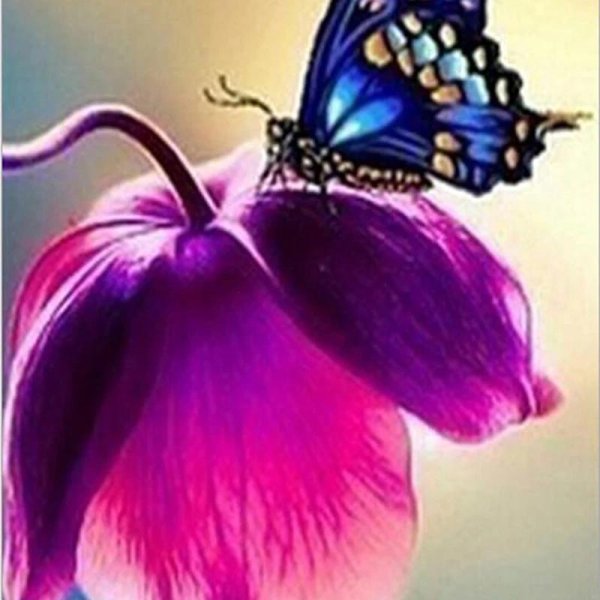 фиолетовая бабочка