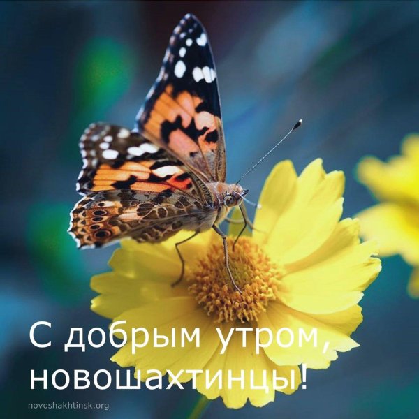 доброе августовское утречко