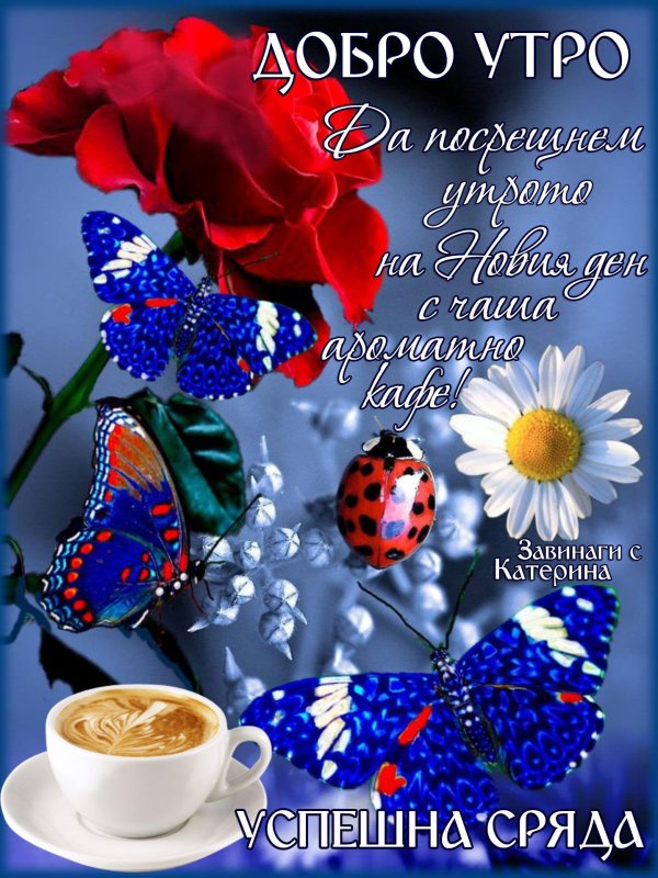 утра доброго летнего