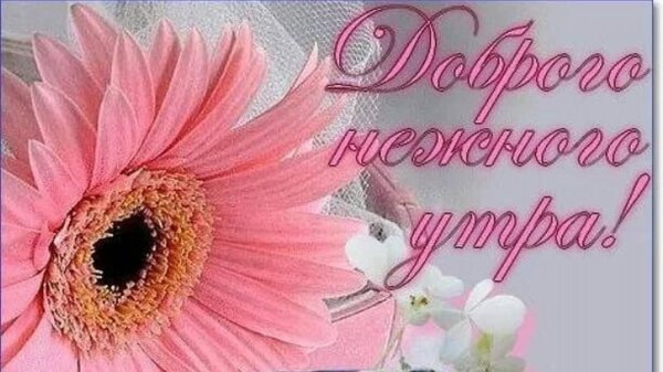 доброго нежного утра