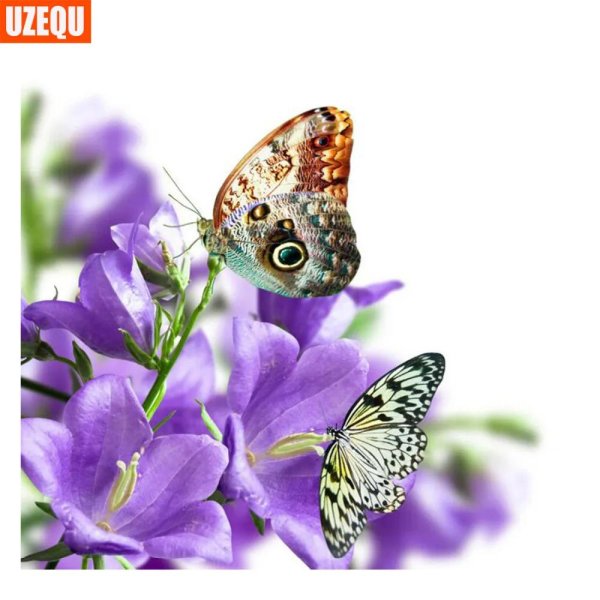 открытка с бабочками