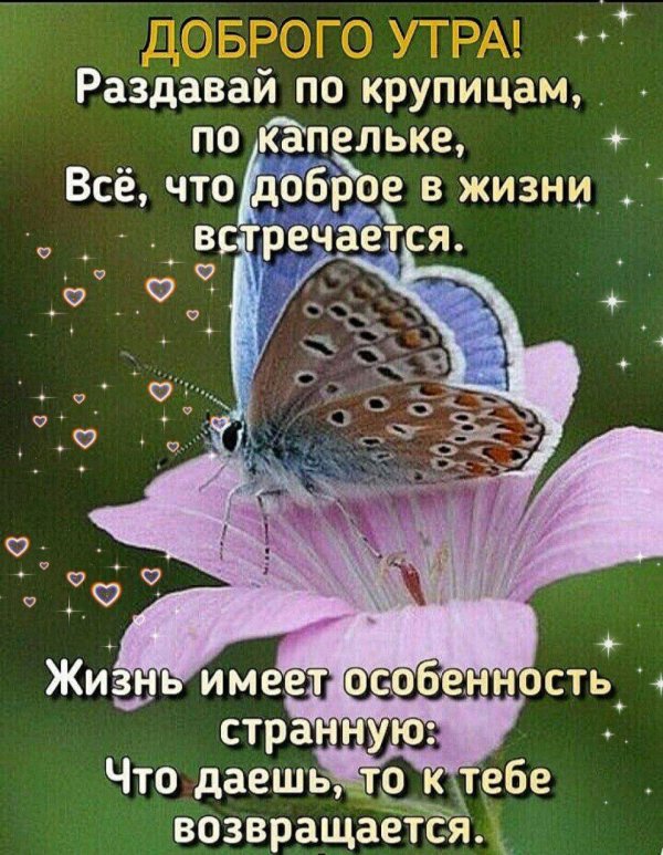 доброе летнее утро