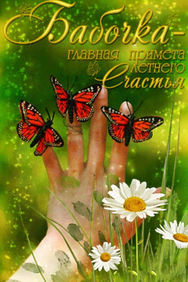 гифы привет лето