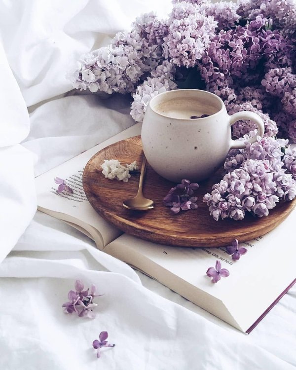 сирень и чашка кофе