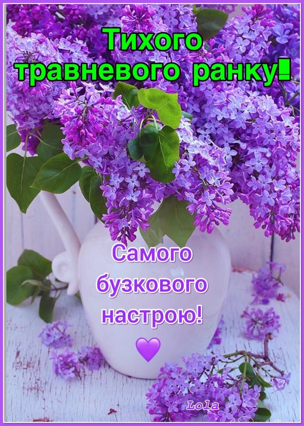 добрый ранок