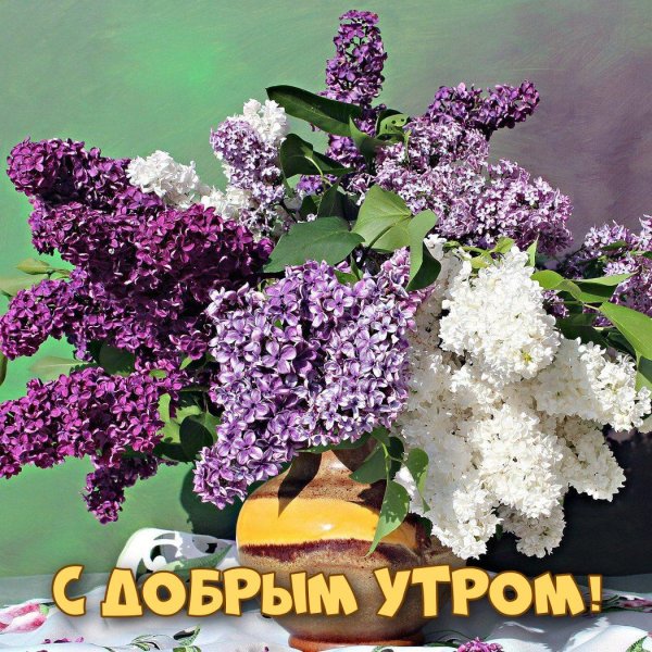 букет сирени