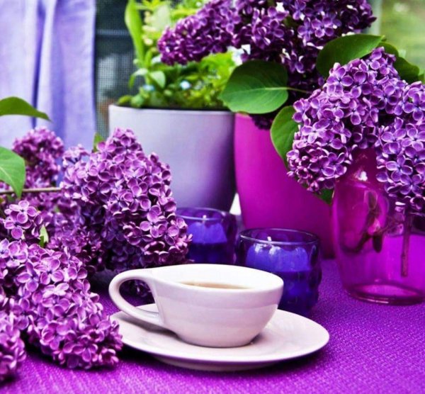 сиреневое утро