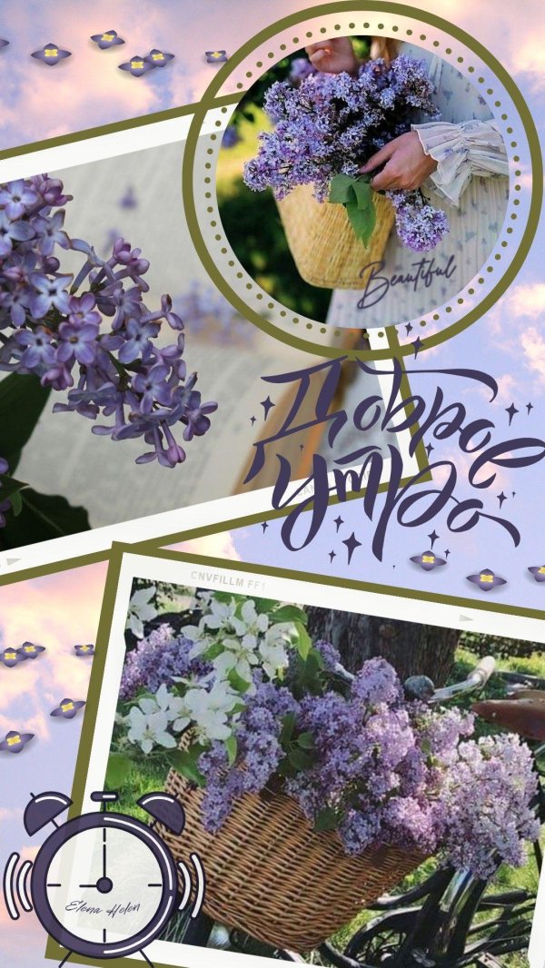 пожелания с добрым майским утром