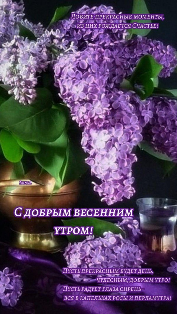 с добрым майским утром открытки