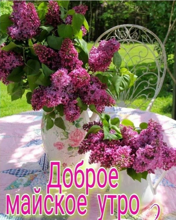 доброго майского утра