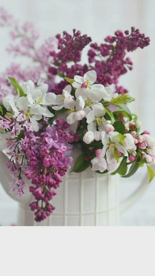 весеннего утра