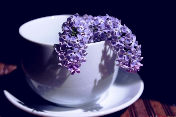 сиреневое утро