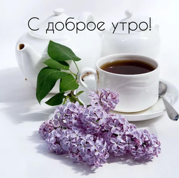 пожелания с добрым утром с сиренью