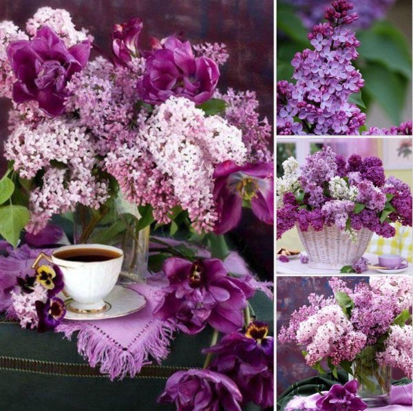 доброготвесеннего вечера