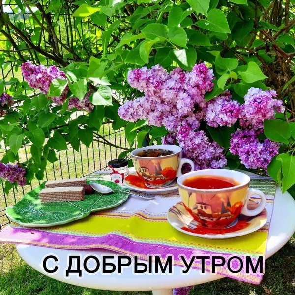 открыточки с добрым весенним утром