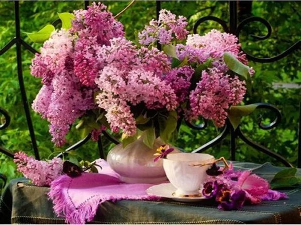 букет сирени