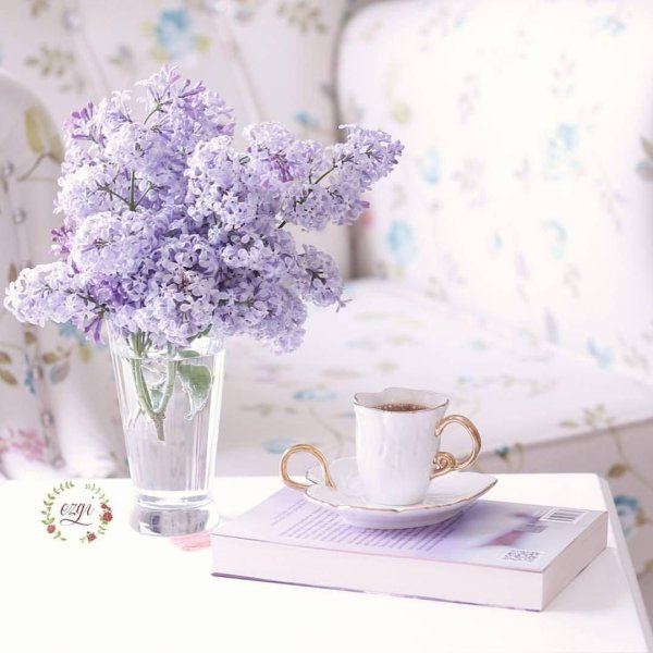 нежные сиреневые цветы