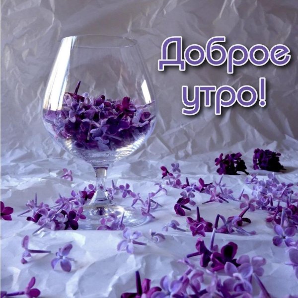 чудесного утра