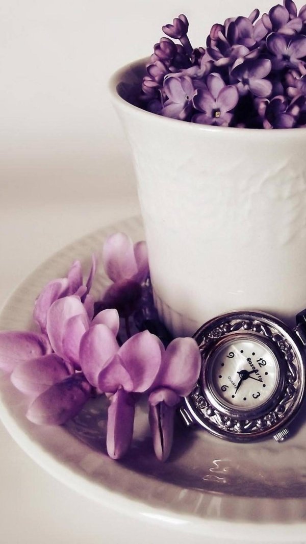 фиолетовое утро