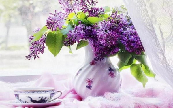 сиреневый натюрморт