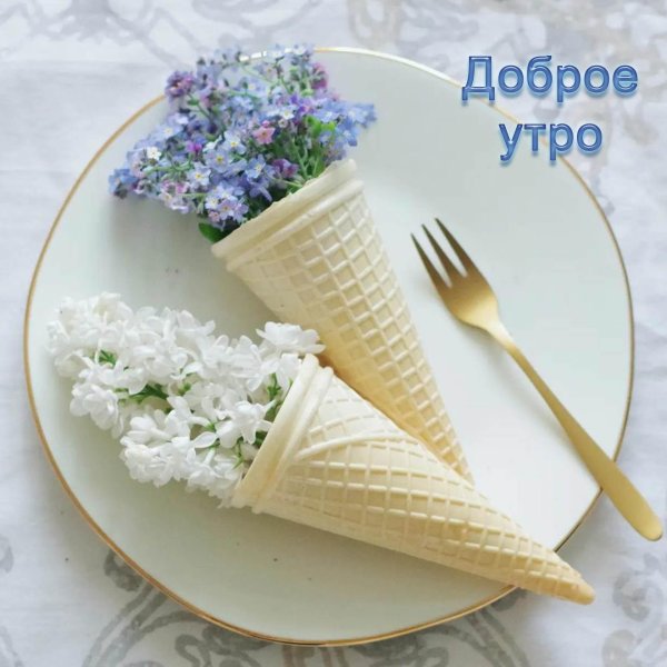Доброе утро сирень