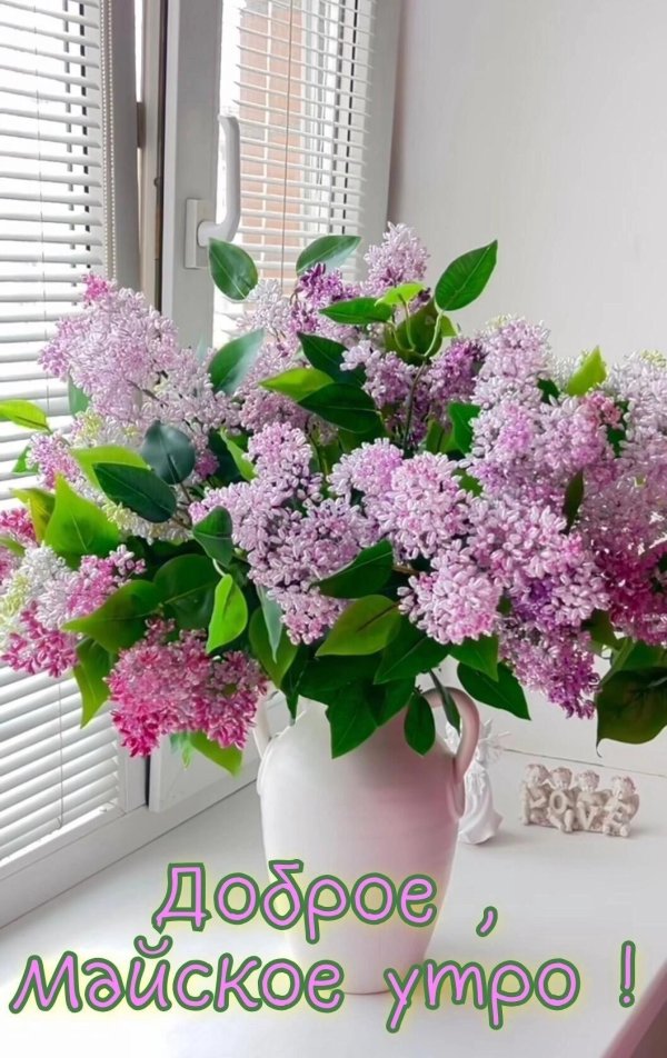 майское утро