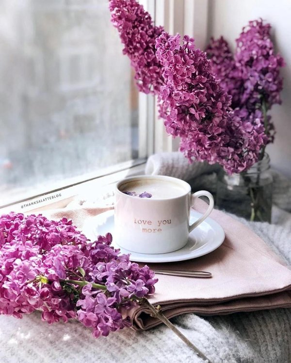 сиреневое утро