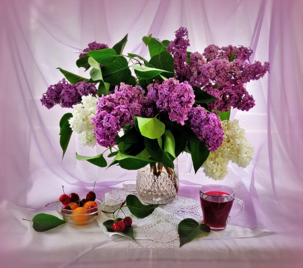 натюрморт сирень