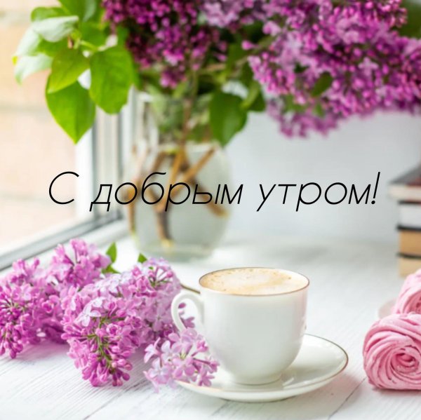 с добрым первомайским утром красивые открытки