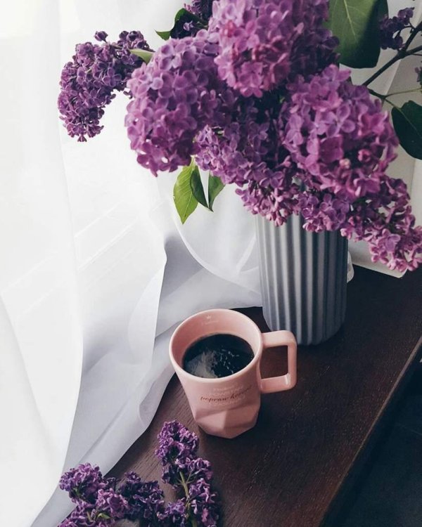 букет сирени