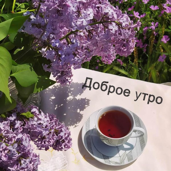 с добрым майским утром открытки