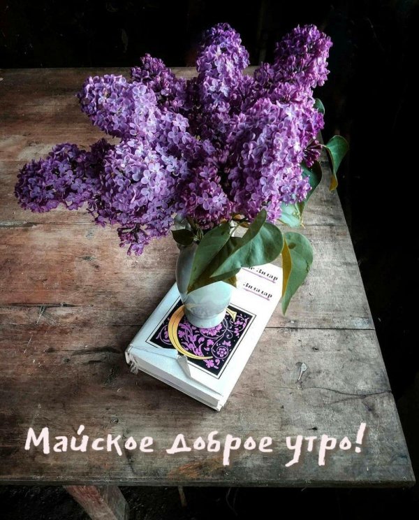 доброго майского утра